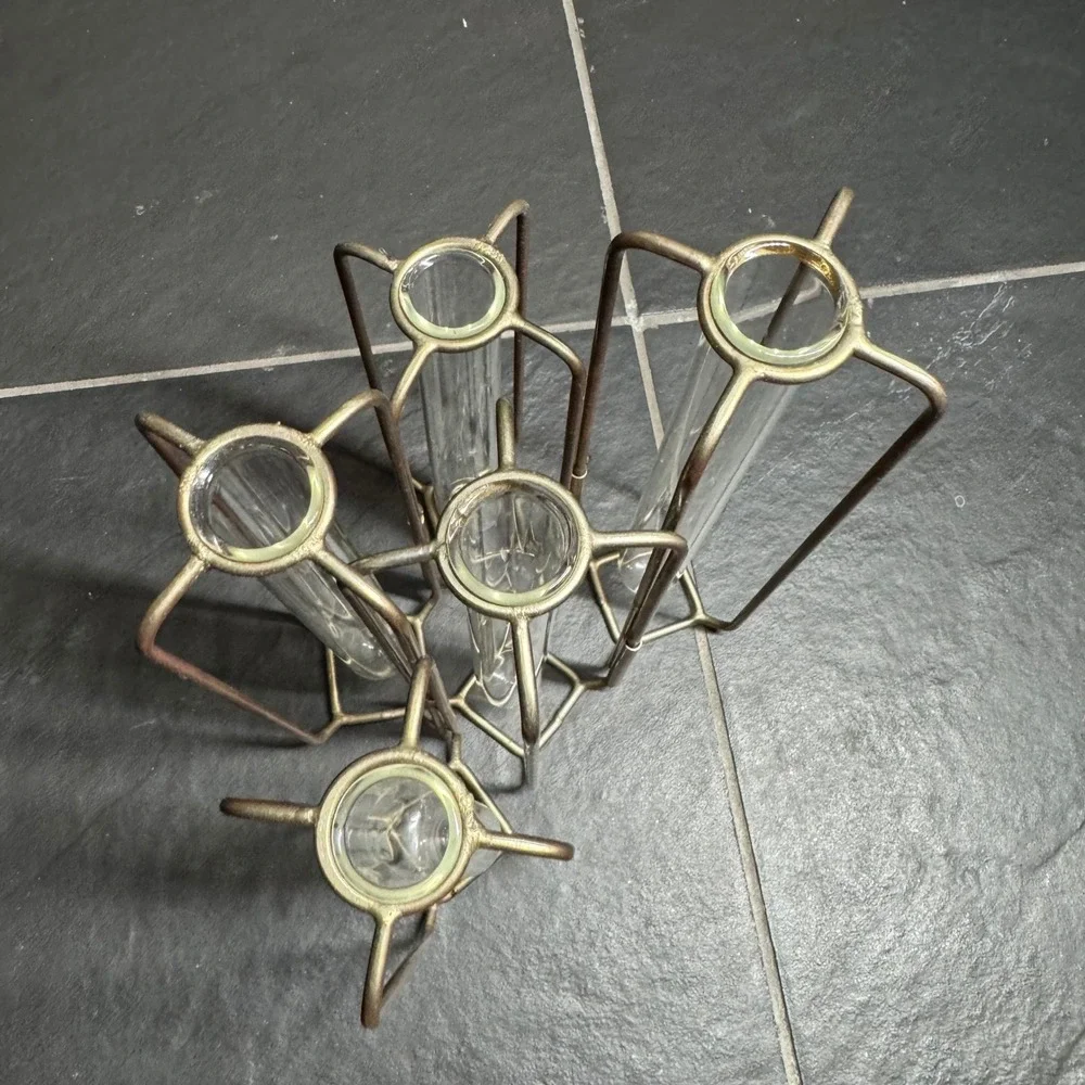 Hinged Test Tube Vase Set 5 Glass Tubes Brass Metal Frame Propagation Station